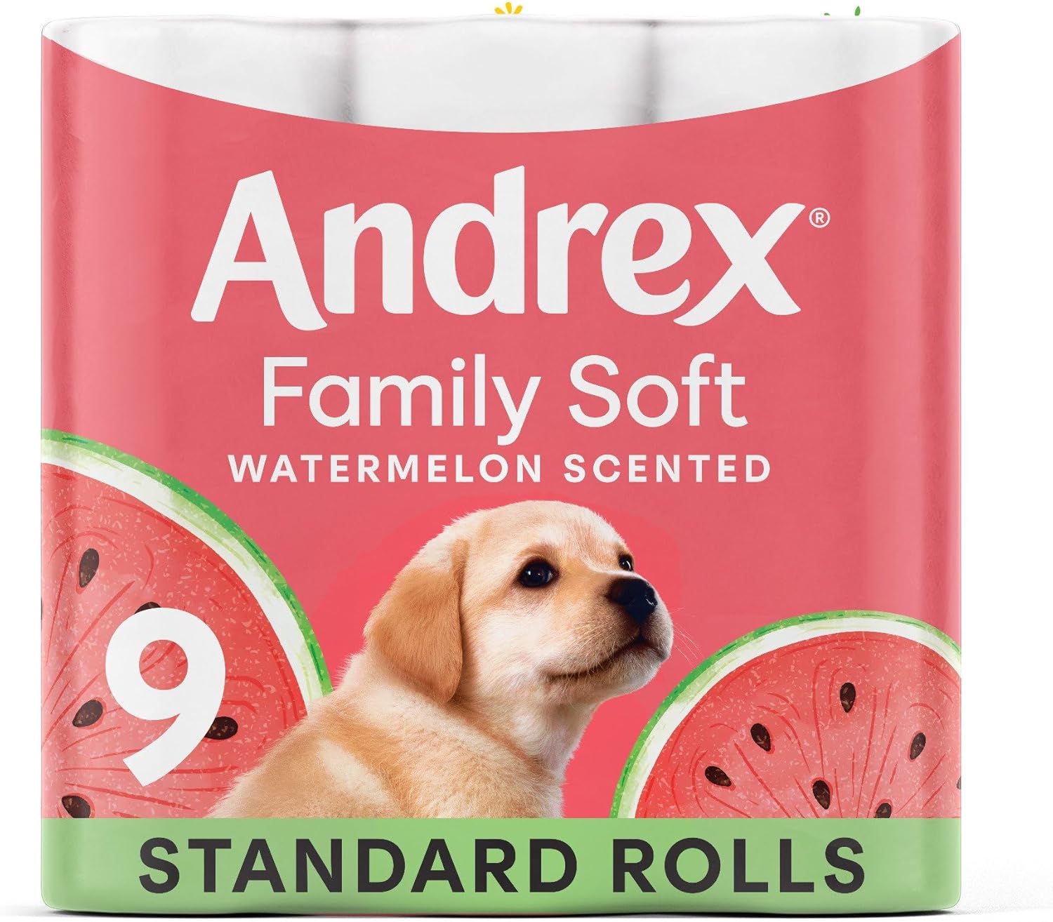 71YUX1l22OL._AC_SL1500_