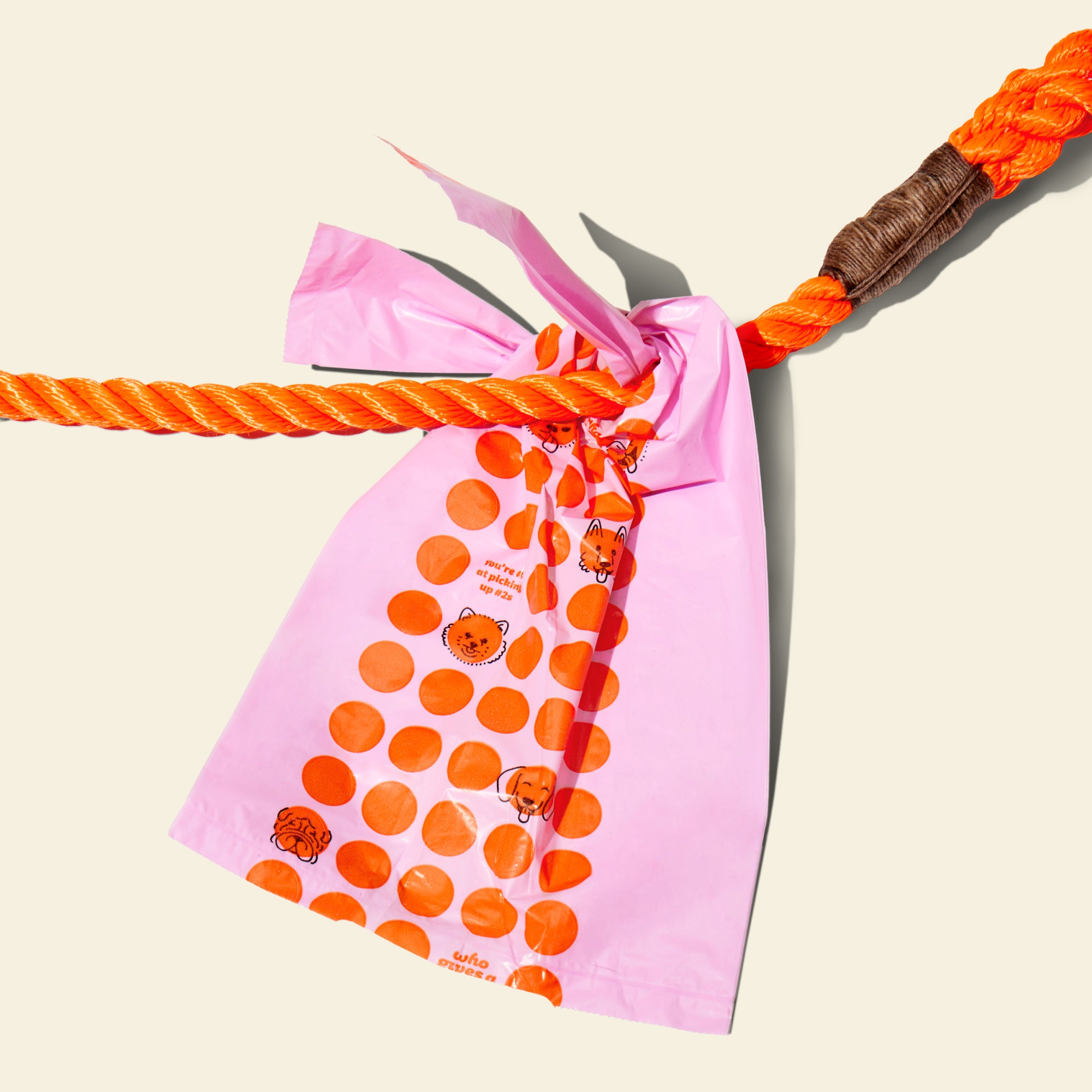 PDP_Pet_Tying