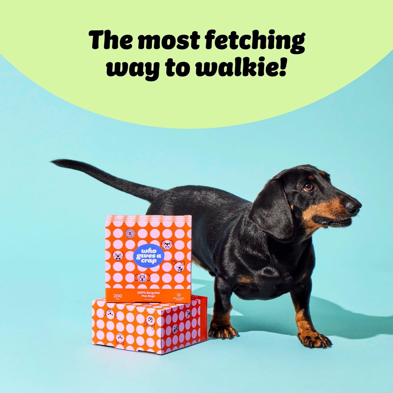 poo_bags_with_dog